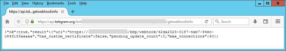 Bot Get Webhook Information from Telegram